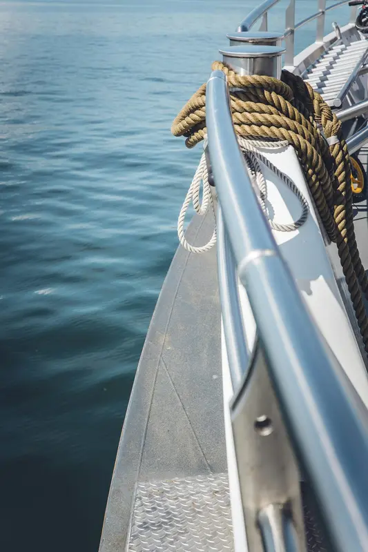 Swell.Boats Premium Domain